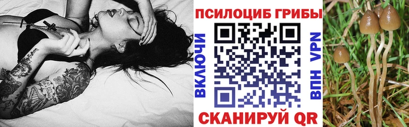 Купить  Черкесск  Галлюциногенные грибы MAGIC MUSHROOMS 